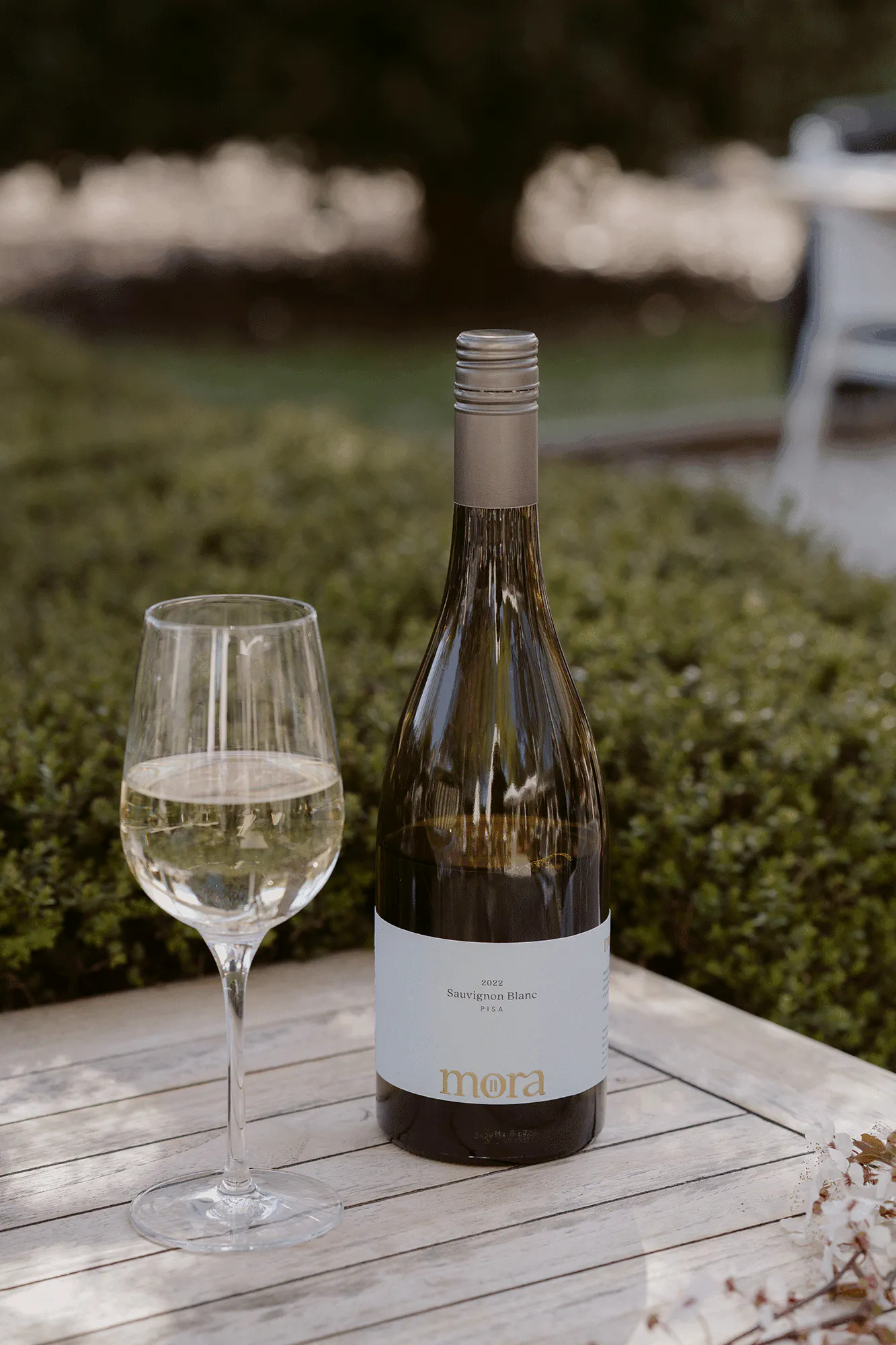 Sauv Blanc