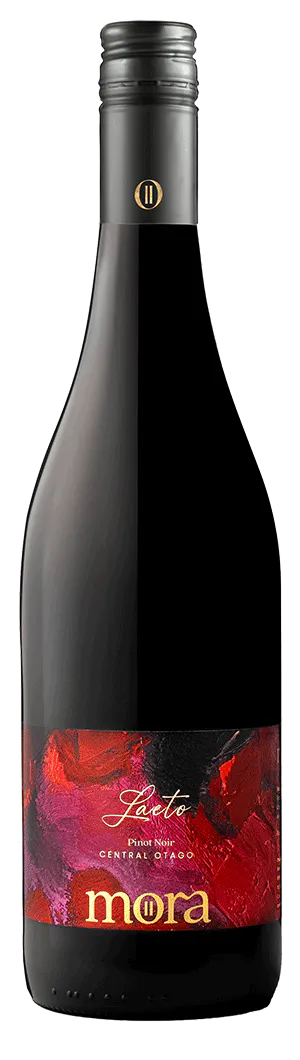Laeto nv