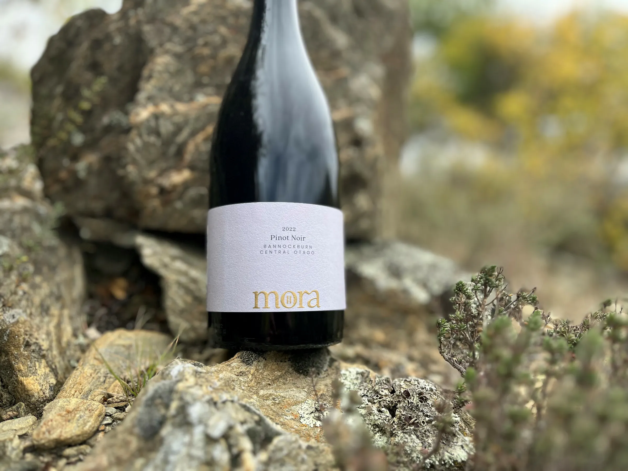 Mora PN schist 3
