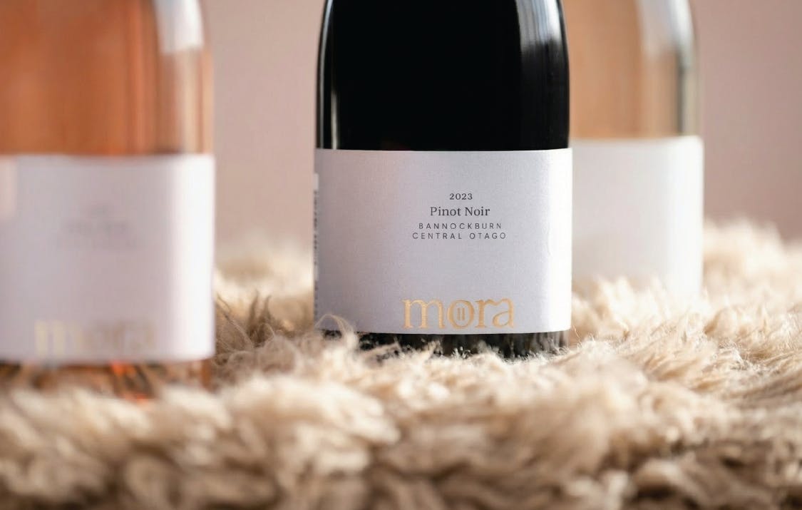 Screenshot 2026 02 25 112553