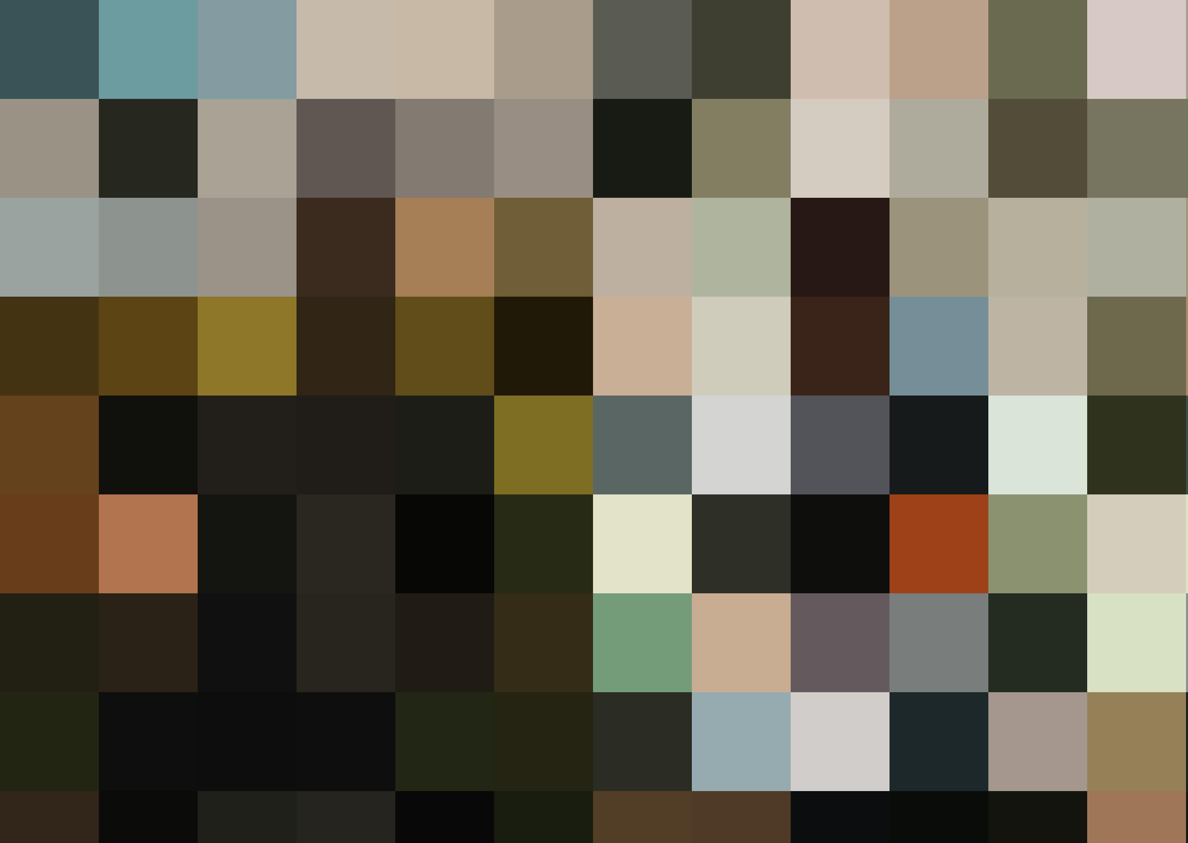 Untitled design 3