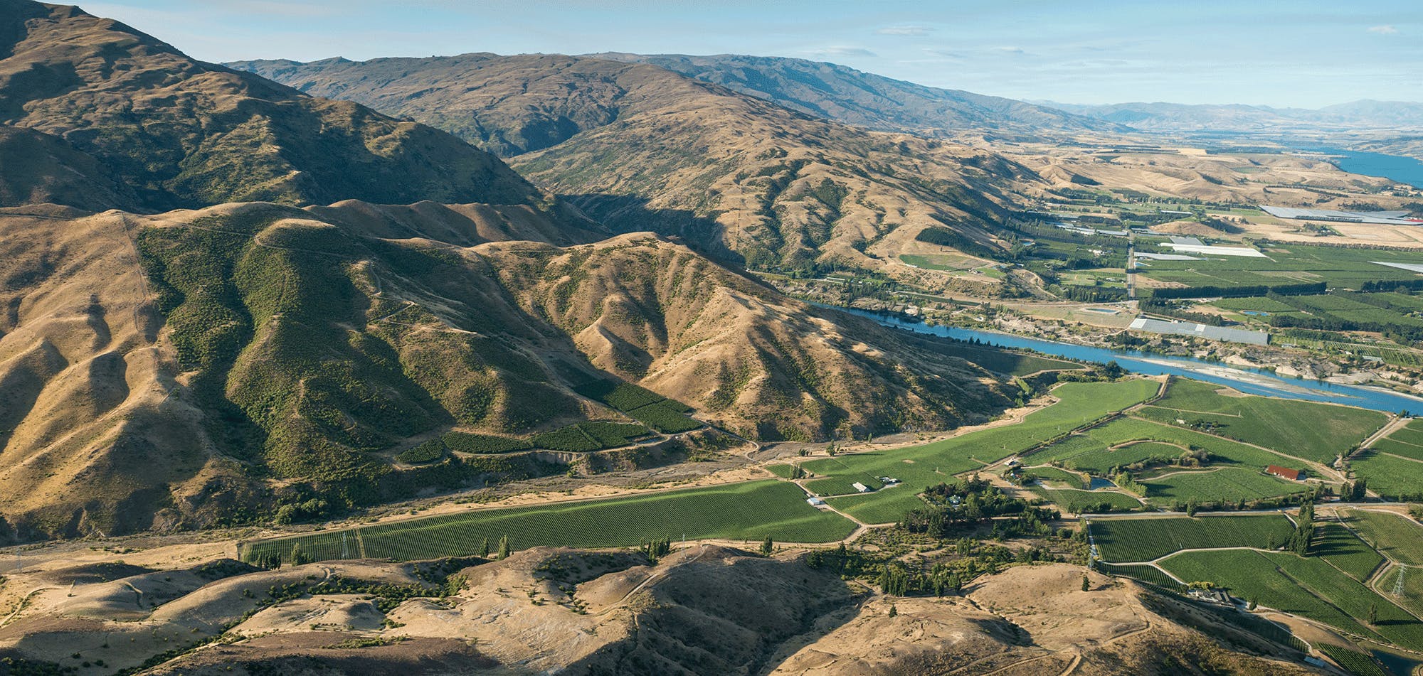 Felton Terraces ariel website