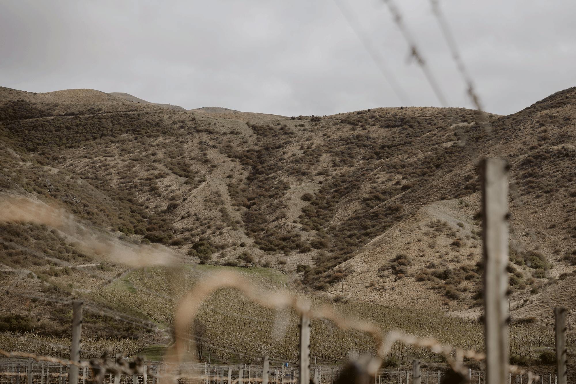 Felton Terraces hill