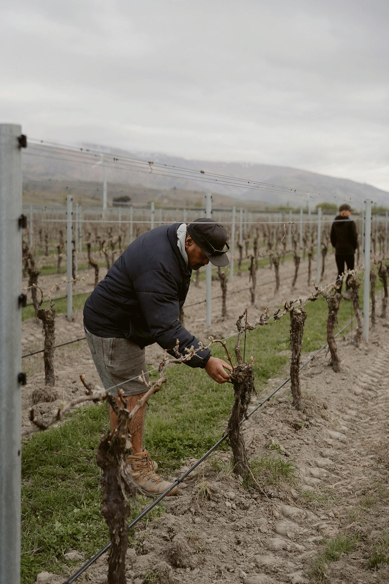 Mark in Eden Vineyard