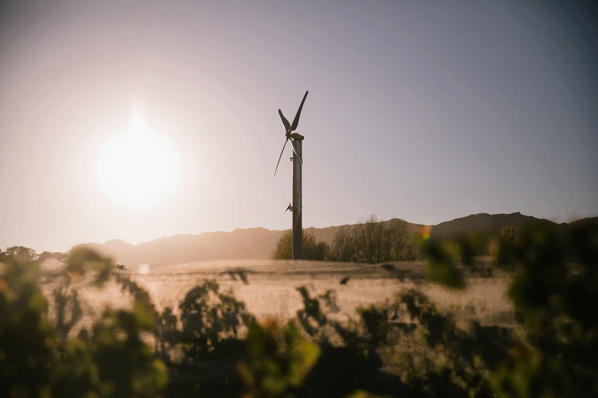 Wind machine in vineyard